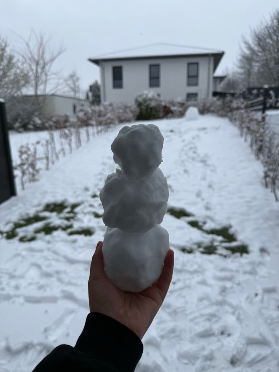 A snowman in front of my house